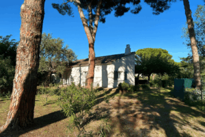 biguglia gestion logement