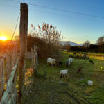 D3D4B7A1-5B89-4682-8972-EB5A9EF40E09