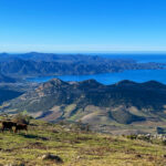 vue sur saint florent