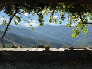 Chez Christine  Carognu